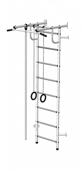 Детский спортивный комплекс ДСК "Пионер-с2у"(пристеночный) белый-серый
