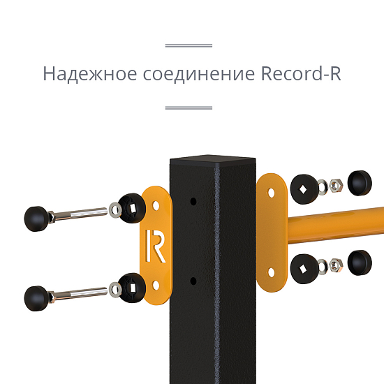 картинка Уличный турник + шведская стенка Record RW-1 профиль 80х80 х 3 мм от магазина Лазалка