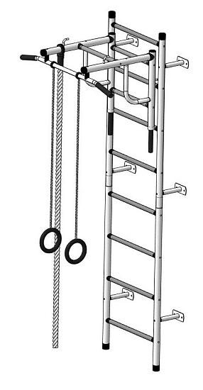 картинка Детский спортивный комплекс ДСК "Пионер-С20" (пристеночный) белый-серый от магазина Лазалка